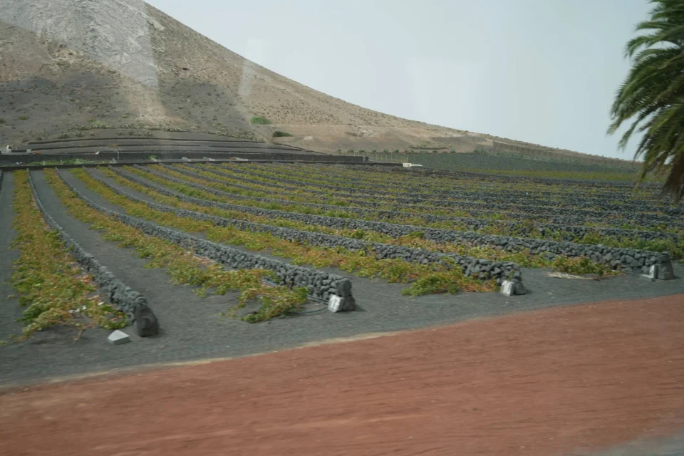 P1000856 960x640